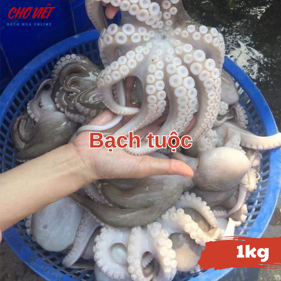 Bạch Tuộc Tươi – 1kg Chợ Việt C01