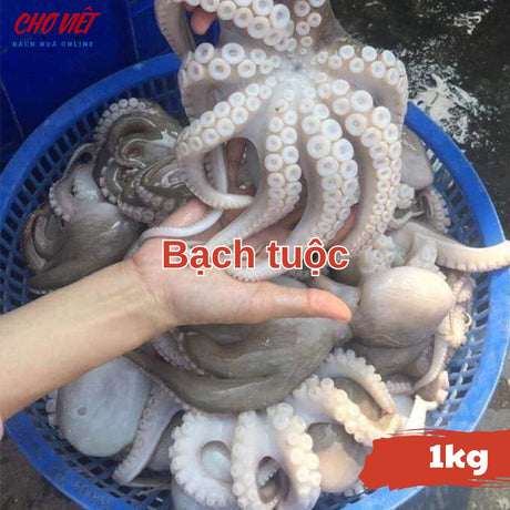 Bạch Tuộc Tươi – 1kg Chợ Việt C01