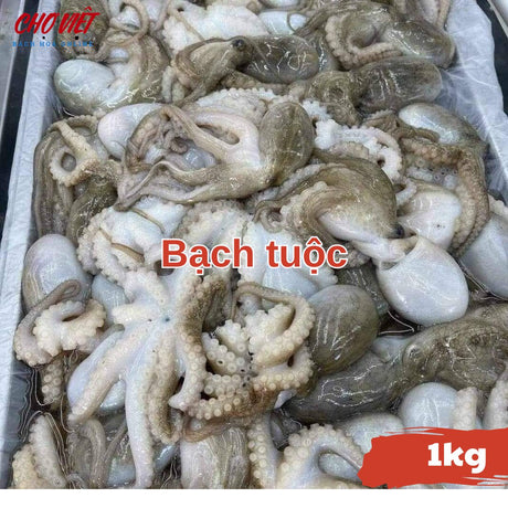 Bạch Tuộc Tươi – 1kg Chợ Việt C01