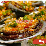 Bào Ngư Tươi Sống Busan – 1kg Chợ Việt C01