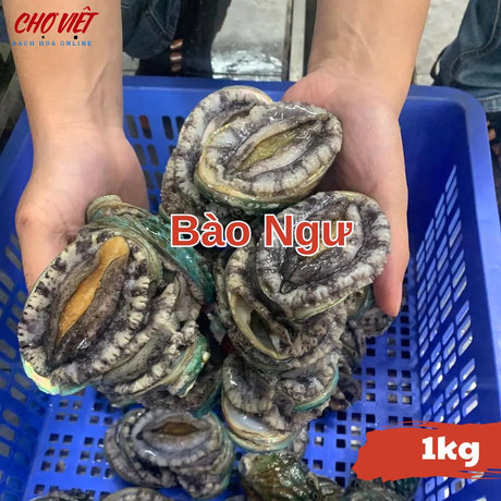 Bào Ngư Tươi Sống Busan – 1kg Chợ Việt C01