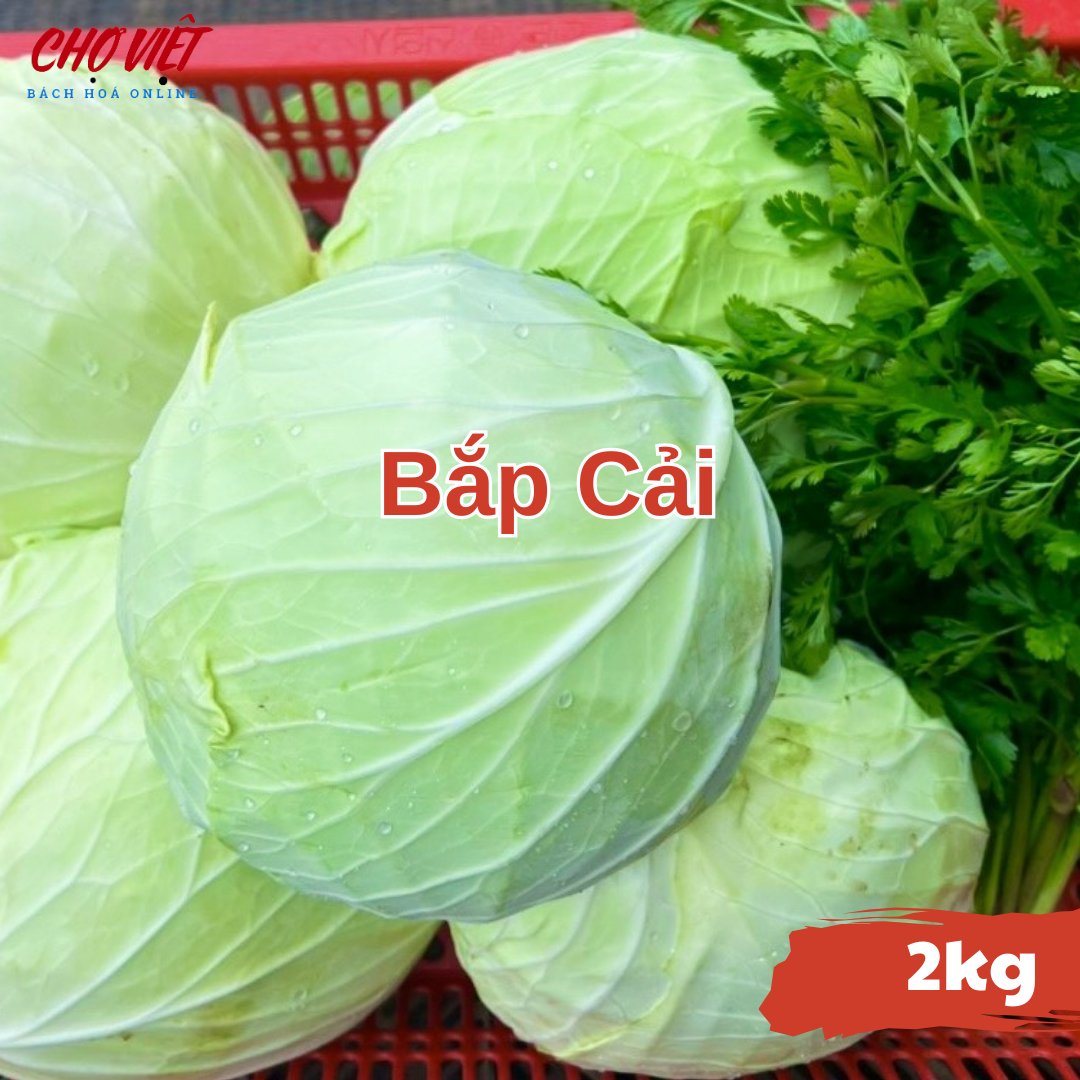 Bắp Cải (2kg) Chợ Việt N01