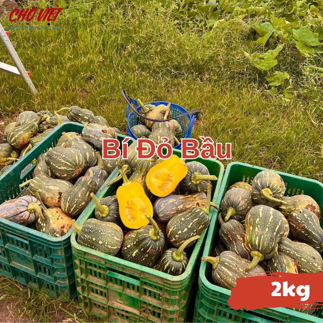 Bí Đỏ Bầu (2kg) Chợ Việt N01