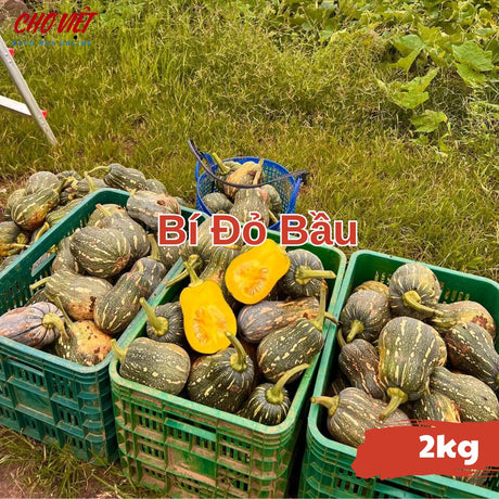 Bí Đỏ Bầu (2kg) Chợ Việt N01
