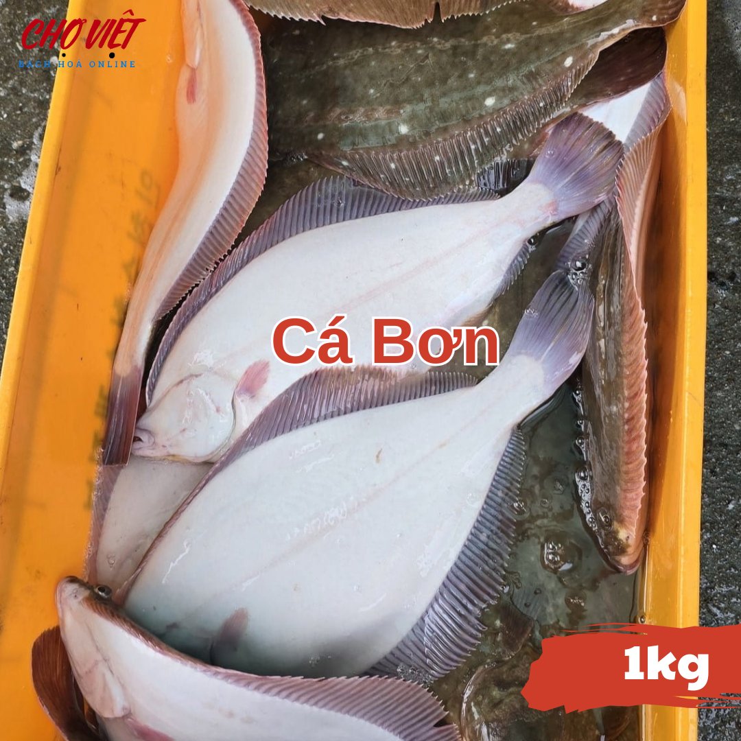 Cá Bơn Tươi – 1kg Chợ Việt C01