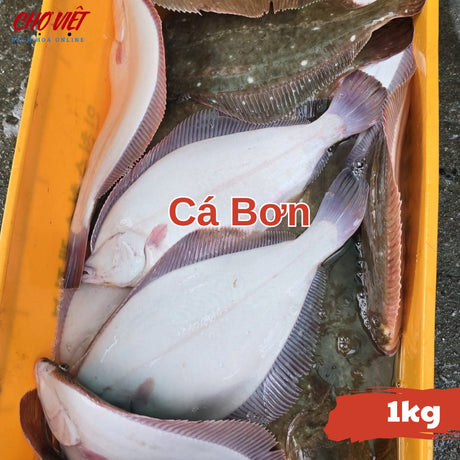 Cá Bơn Tươi – 1kg Chợ Việt C01