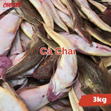 Cá Chai Tươi - 3kg Chợ Việt C01
