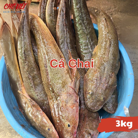 Cá Chai Tươi - 3kg Chợ Việt C01