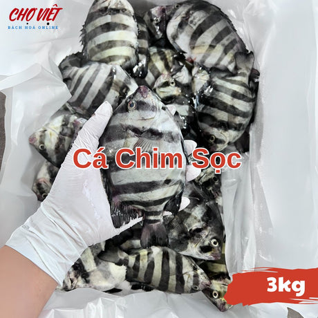 Cá Chim Sọc Tươi Busan – 3kg Chợ Việt C01