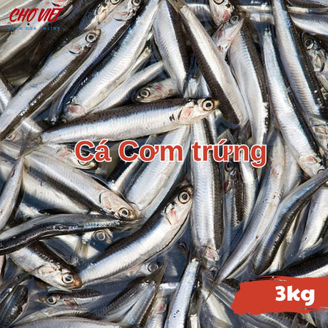 Cá Cơm Trứng Tươi - 3kg Chợ Việt C01