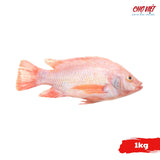 Cá Diêu Hồng Tươi – Gói 1kg Chợ Việt K02