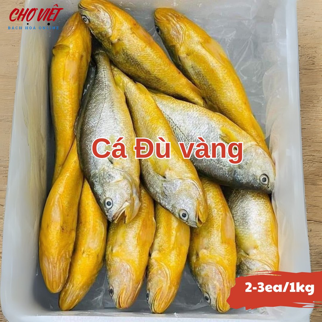 Cá Đù Vàng Tươi Busan – Size 2 - 3 con/1kg Chợ Việt C01