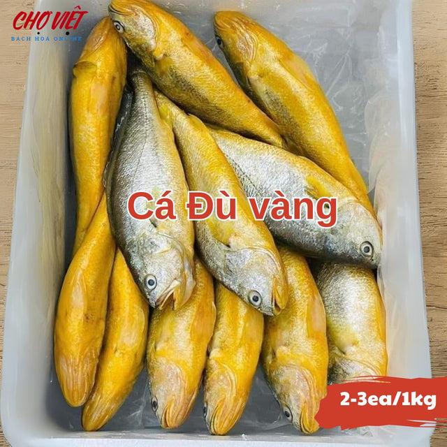 Cá Đù Vàng Tươi Busan – Size 2 - 3 con/1kg Chợ Việt C01