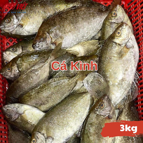 Cá Kình Tươi Busan – 3kg Chợ Việt C01