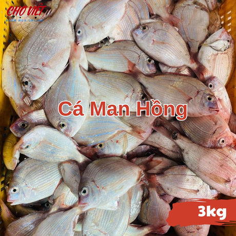 Cá Man Hồng Tươi Busan – 3kg Chợ Việt C01