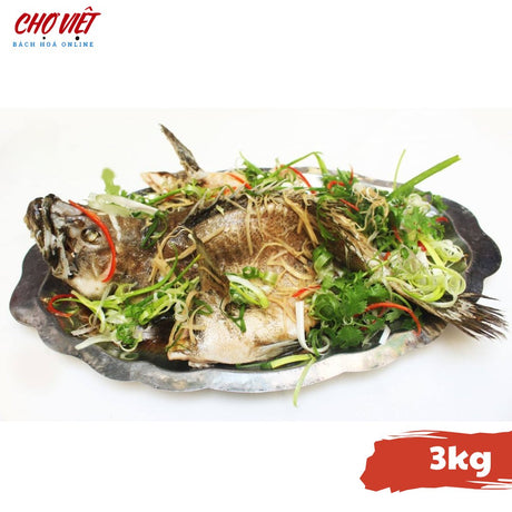 Cá Mú Chợ Việt C02