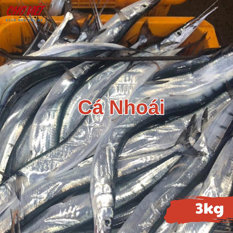 Cá Nhoái Tươi Busan – 3kg Chợ Việt C01