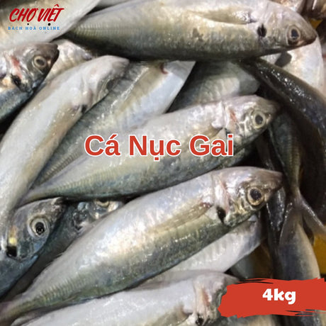 Cá Nục Gai Tươi Busan – 4kg Chợ Việt C01