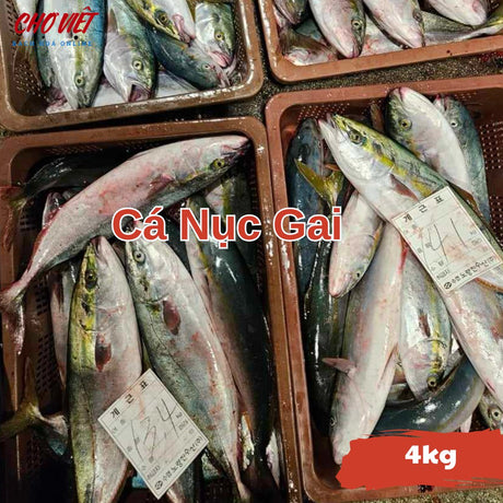 Cá Nục Gai Tươi Busan – 4kg Chợ Việt C01