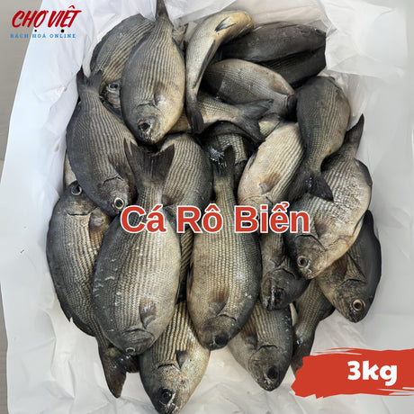 Cá Rô Biển Tươi – Size 3kg Chợ Việt C01