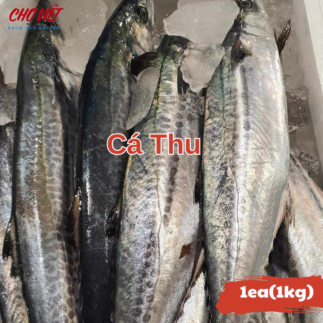 Cá Thu Tươi Busan – 1kg Chợ Việt C01