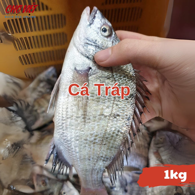Cá Tráp Tươi - 1kg Chợ Việt C01