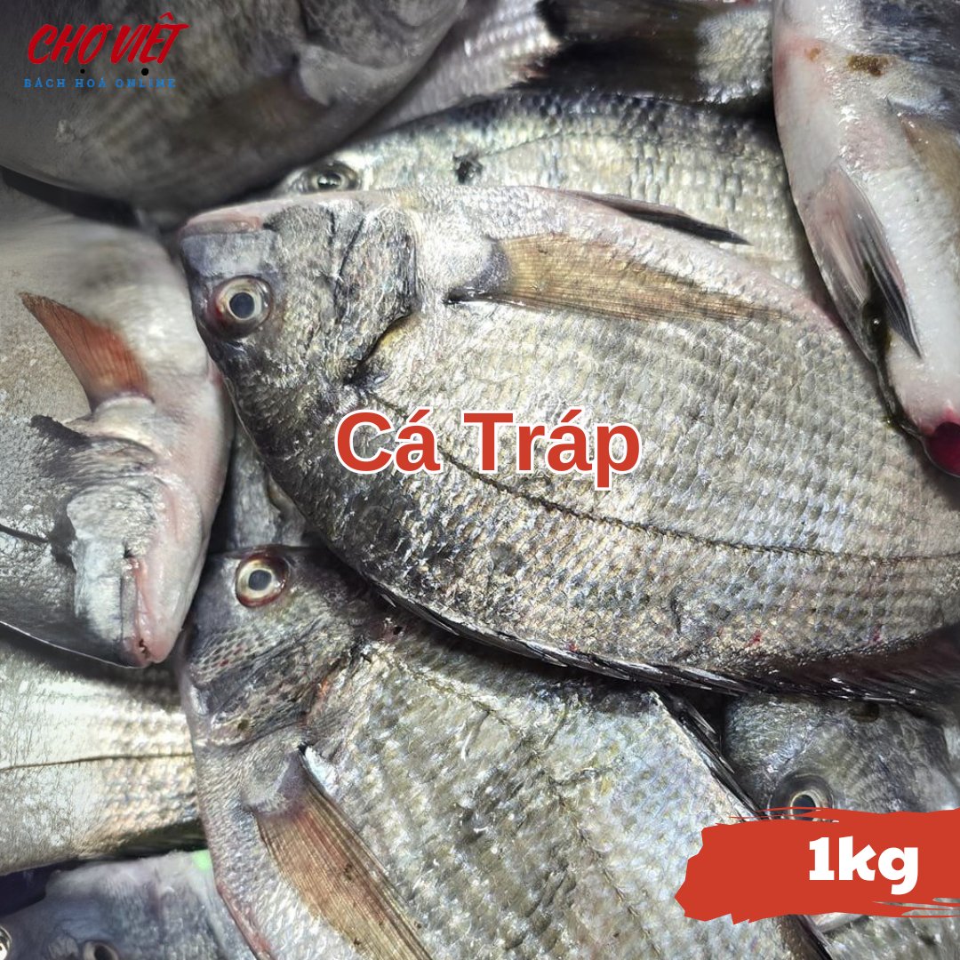 Cá Tráp Tươi - 1kg Chợ Việt C01
