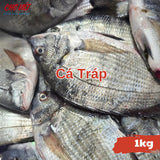 Cá Tráp Tươi - 1kg Chợ Việt C01