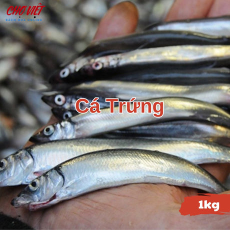 Cá Trứng Tươi – 1kg Chợ Việt C01