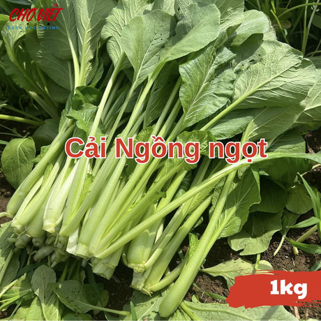 Cải Ngọt (1kg) Chợ Việt N01