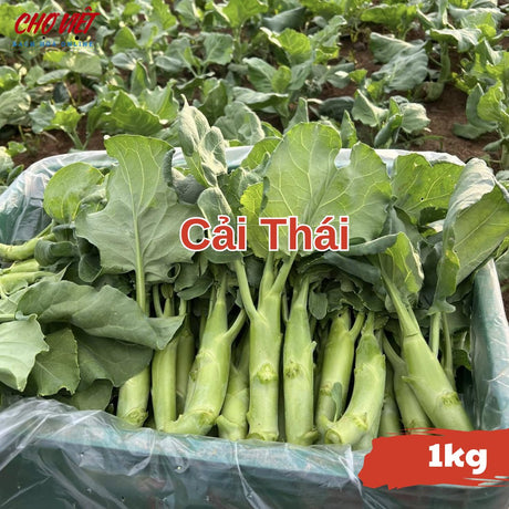 Cải Thái (1kg) Chợ Việt N01