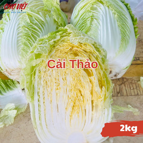 Cải Thảo (2kg) Chợ Việt N01