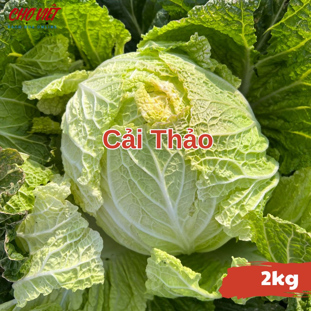 Cải Thảo (2kg) Chợ Việt N01