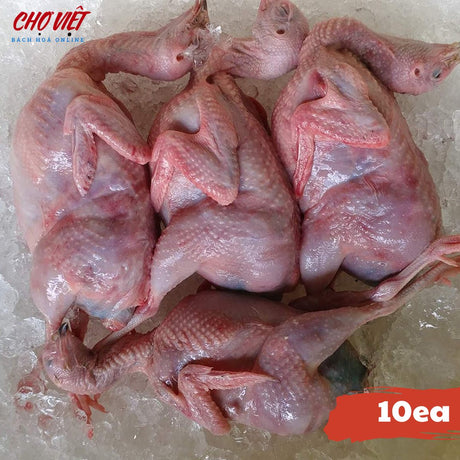Chim Cút Chợ Việt T02