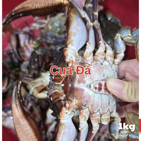 Cua Đá – 1kg Chợ Việt C01