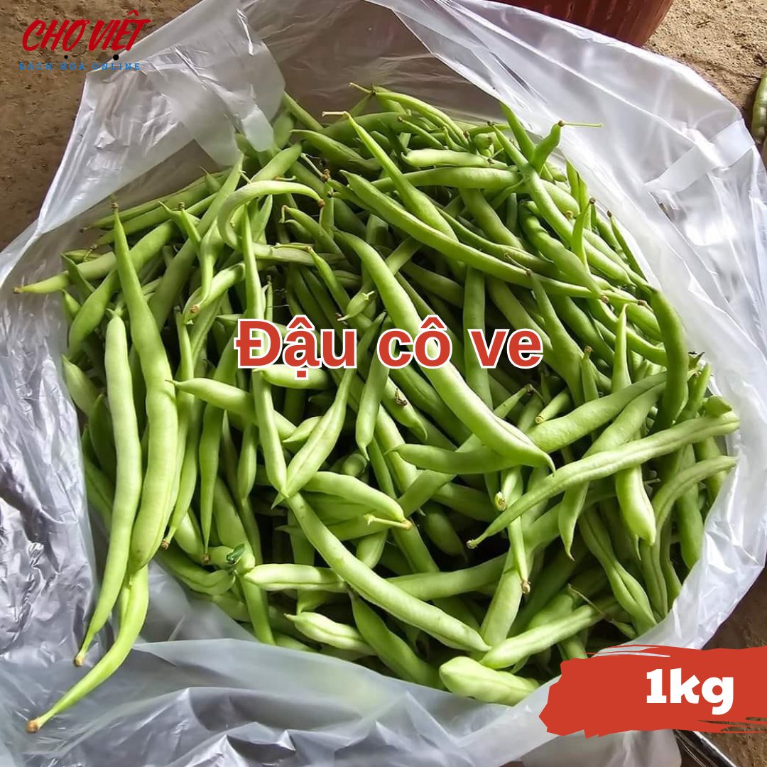 Đậu Cô Ve (1kg) Chợ Việt N01