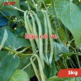 Đậu Cô Ve (1kg) Chợ Việt N01