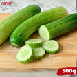 Dưa Leo Tươi Chợ Việt T01