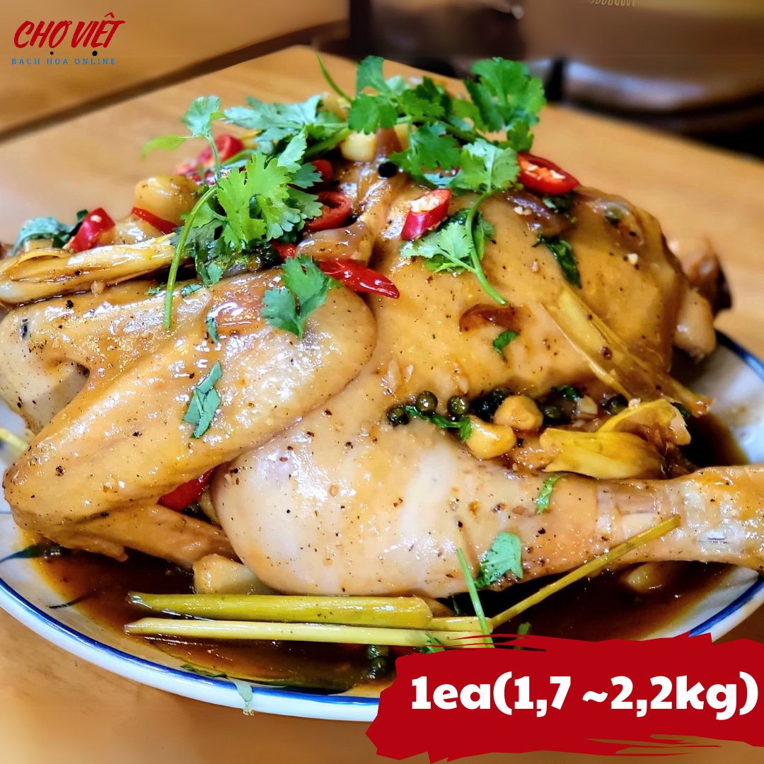Gà Mái Mơ Chợ Việt T01