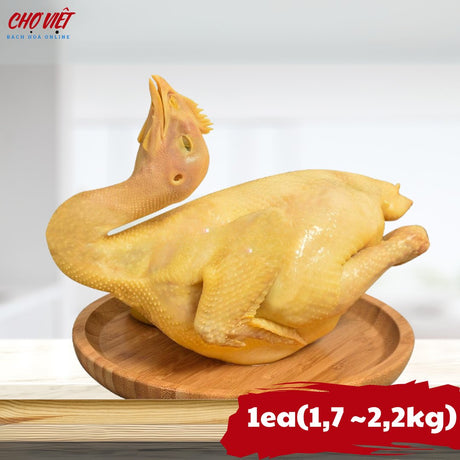 Gà Mái Mơ Chợ Việt T01
