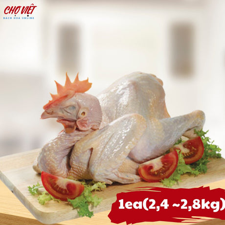 Gà Trống Vườn Chợ Việt T01