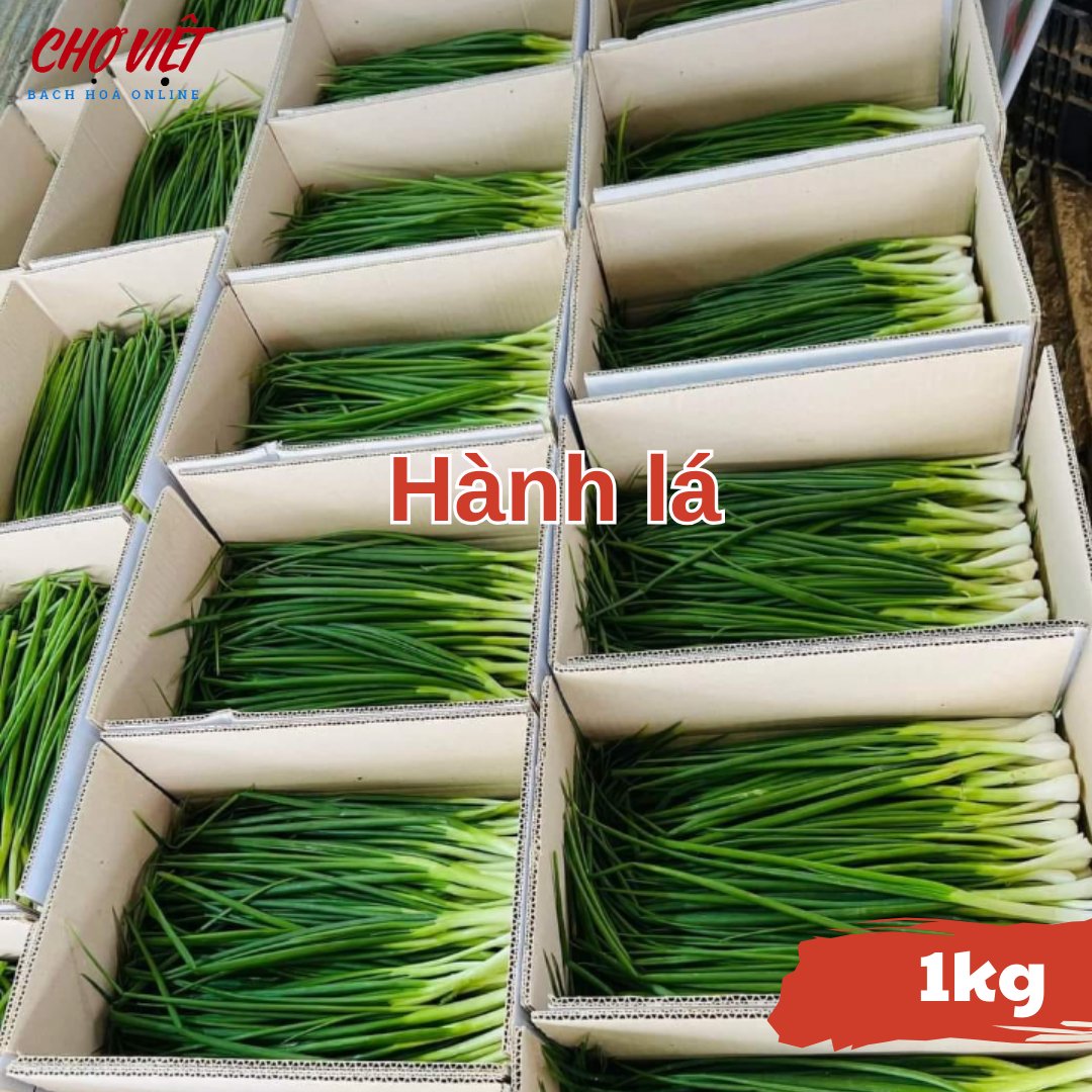 Hành Lá (1kg) Chợ Việt N01