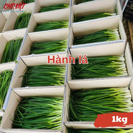 Hành Lá (1kg) Chợ Việt N01