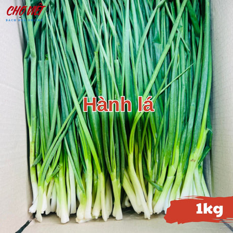 Hành Lá (1kg) Chợ Việt N01