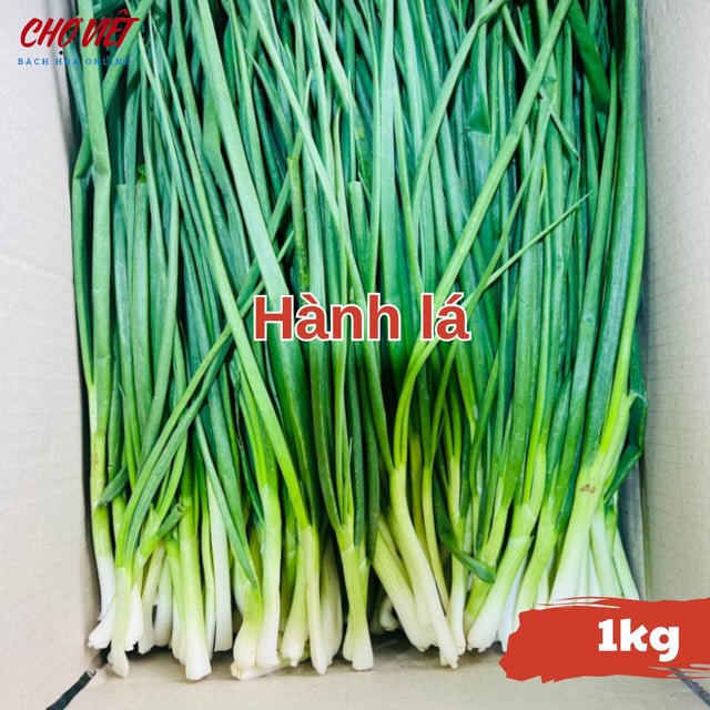 Hành Lá (1kg) Chợ Việt N01