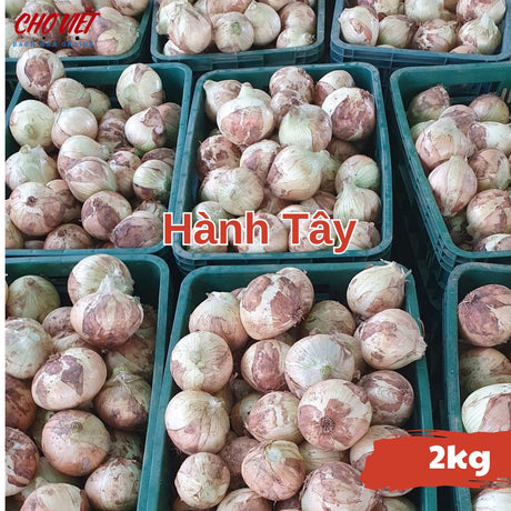 Hành Tây (2kg) Chợ Việt N01