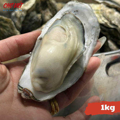 Hàu Tươi Lột Vỏ - 1kg Chợ Việt C01