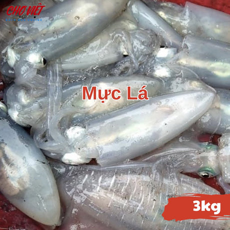 Mực Lá Tươi Busan – 3kg Chợ Việt C01