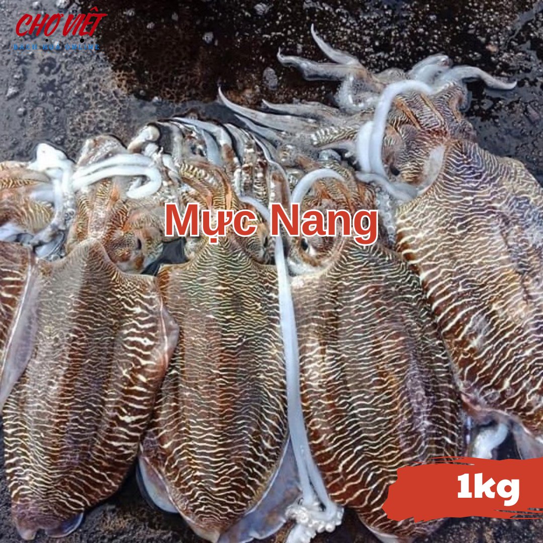 Mực Nang Tươi – 1kg Chợ Việt C01