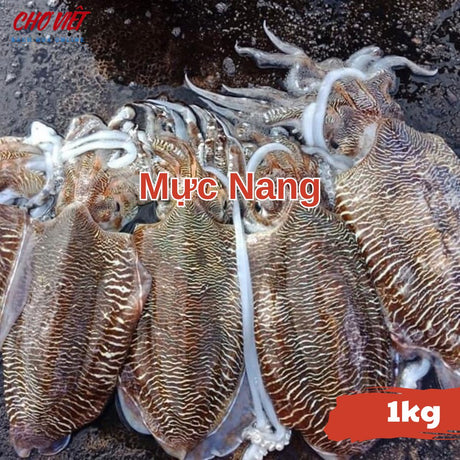 Mực Nang Tươi – 1kg Chợ Việt C01